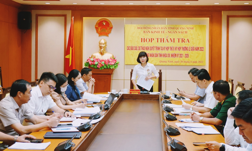 Thẩm tra các tờ trình, báo cáo, dự thảo nghị quyết trình tại Kỳ họp thứ 9, HĐND tỉnh khóa XIV