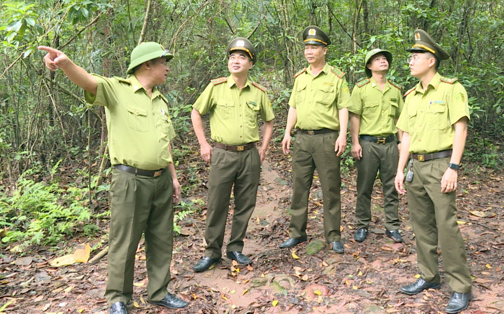 Cán bộ hội viên Chi hội CCB Chi cục Kiểm lâm tỉnh tham gia tuần tra, kiểm soát rừng tại địa bàn TP Hạ Long.