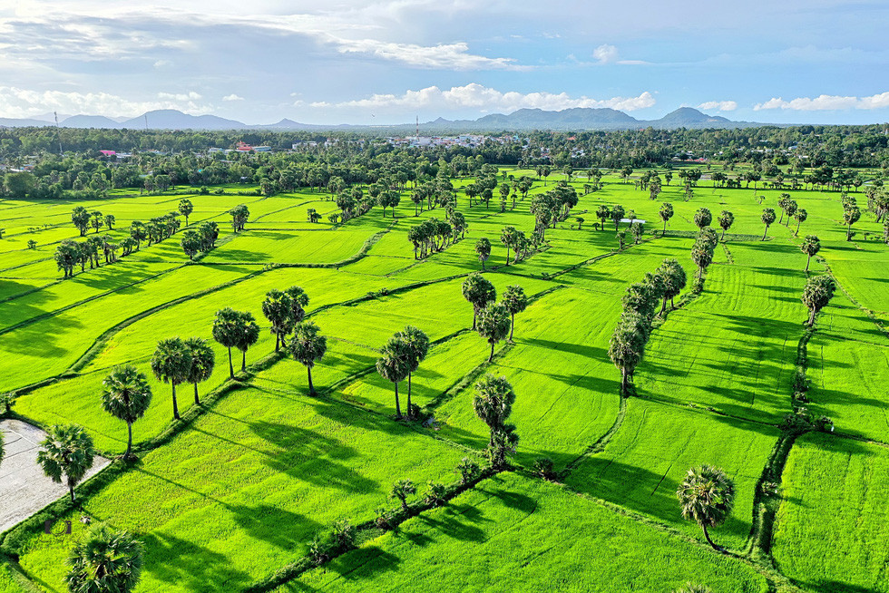 Về Tịnh Biên - An Giang leo núi Cấm, ngắm hoàng hôn trên cánh đồng thốt nốt - Ảnh 1.