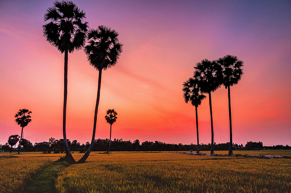 Về Tịnh Biên - An Giang leo núi Cấm, ngắm hoàng hôn trên cánh đồng thốt nốt - Ảnh 13.