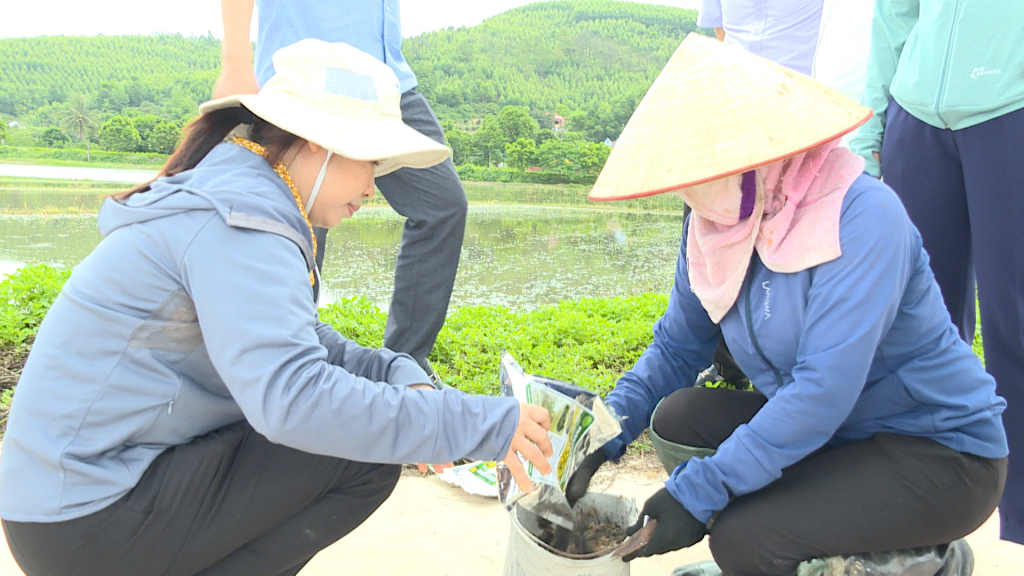 Cán bộ kỹ thuật hướng dẫn nông dân sử dụng một số chế phẩm phân hủy rơm rạ như AT, Emuniv,…để tránh ngộ độc hữu cơ cho lúa mùa và tăng dinh dưỡng cho đất.