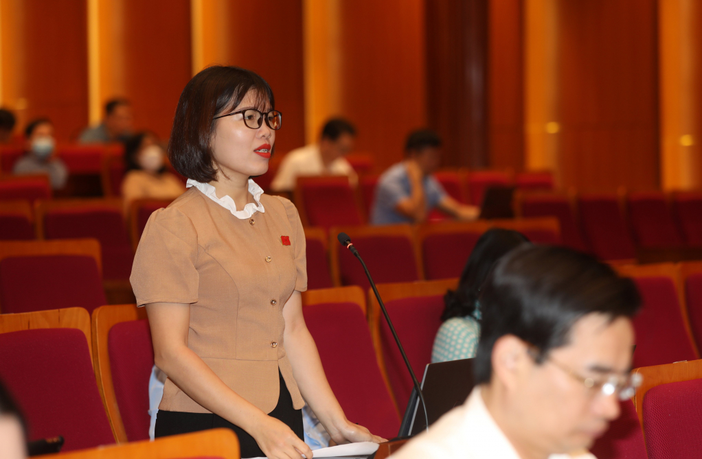 Đồng chí Trần Thị Thiêm, Chủ tịch Hội Liên hiệp Phụ nữ xã Quảng Thịnh, huyện Hải Hà, đại biểu HĐND tỉnh, phát biểu tại kỳ họp thứ 9 HĐND tỉnh.