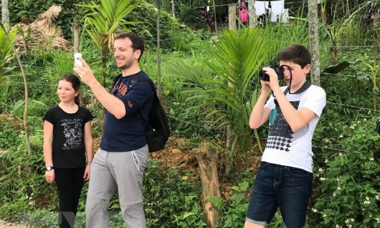 International visitors to Vietnam in June rise 36.8%