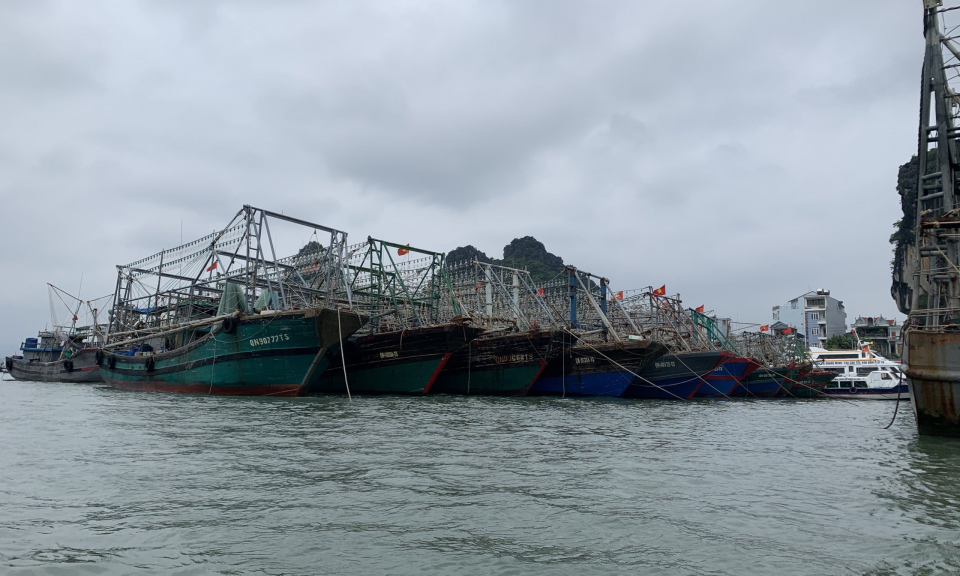 Quảng Ninh chủ động ứng phó với bão số 1
