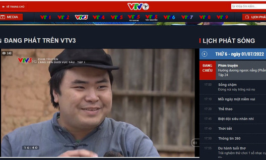 VTV dừng phát sóng phim Hướng dương ngược nắng có Hồng Đăng đóng chính