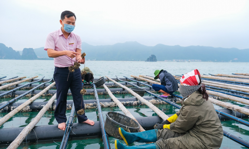 Đa dạng các kênh dẫn vốn cho nông dân