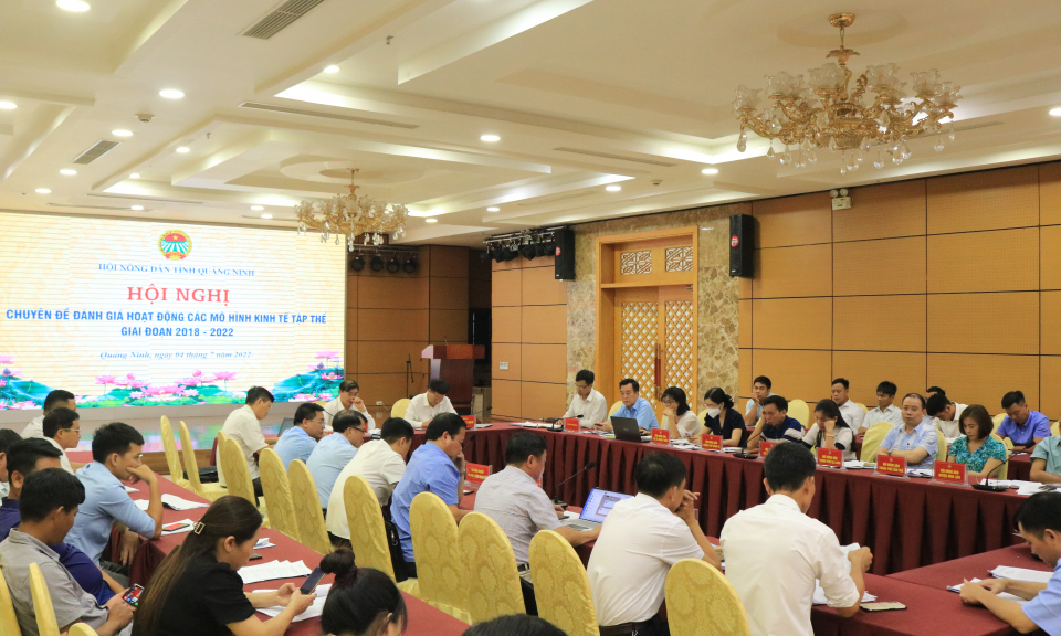 Hội Nông dân tỉnh đánh giá hoạt động các mô hình kinh tế tập thể