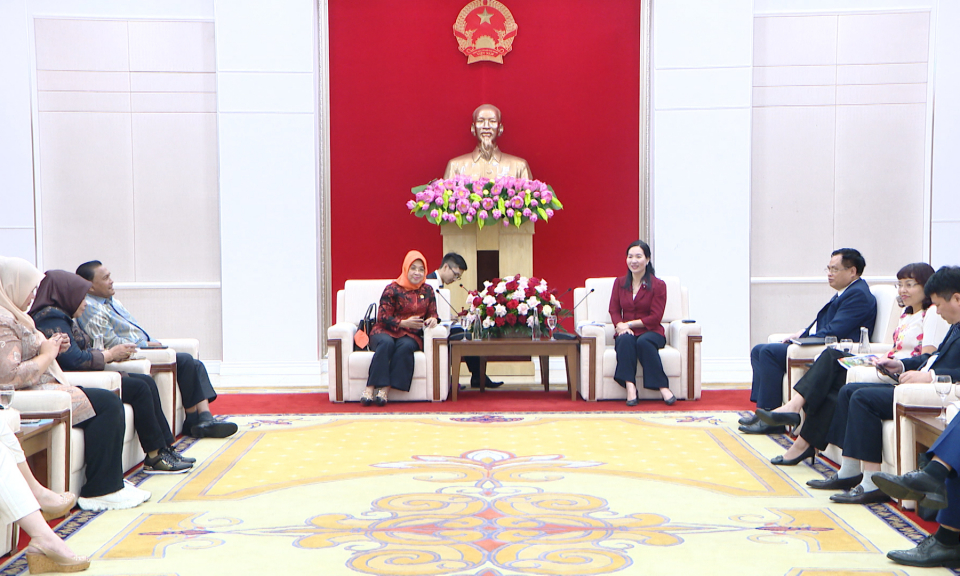 Phó Chủ tịch UBND tỉnh Nguyễn Thị Hạnh tiếp đoàn đại biểu Quốc hội Indonesia