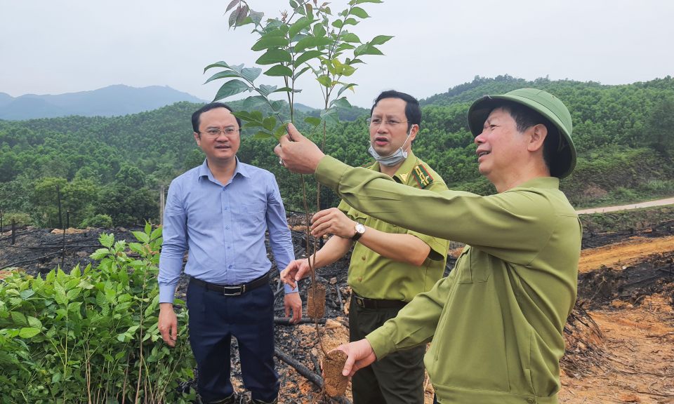 Đảm bảo tốc độ tăng trưởng năm 2022: Ưu tiên cho những khâu yếu, việc khó