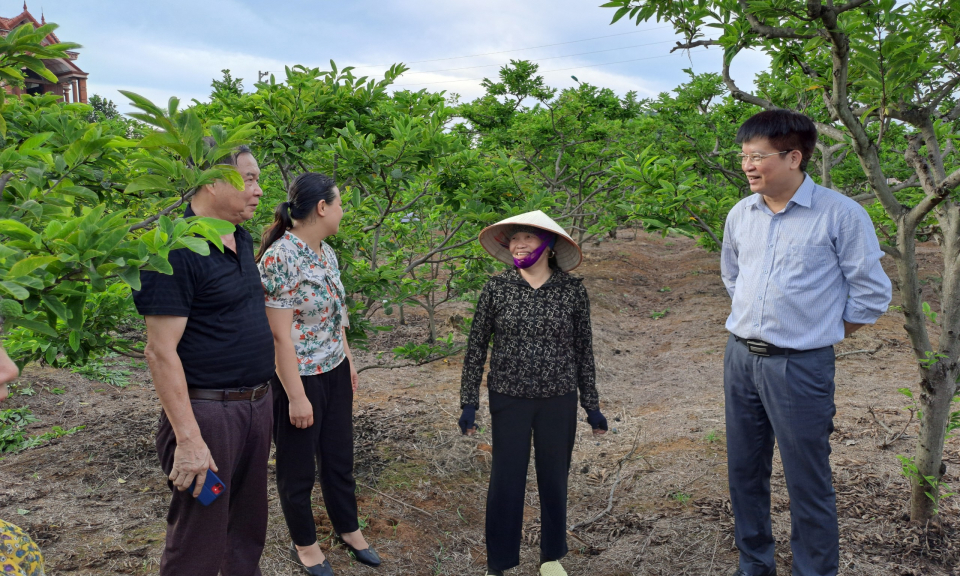 Nhân lên những tỷ phú nông dân