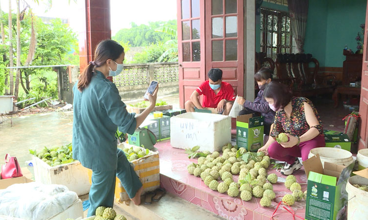 Ngành Nông nghiệp bắt nhịp chuyển đổi số 