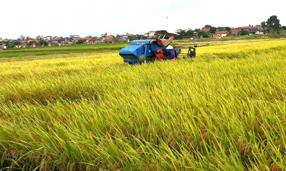Để có vụ mùa bội thu