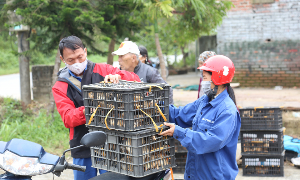 Tạo động lực trong công tác giảm nghèo