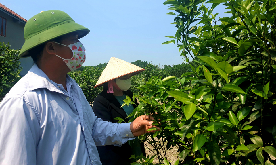 Chung sức vượt khó ở thành phố vùng biên
