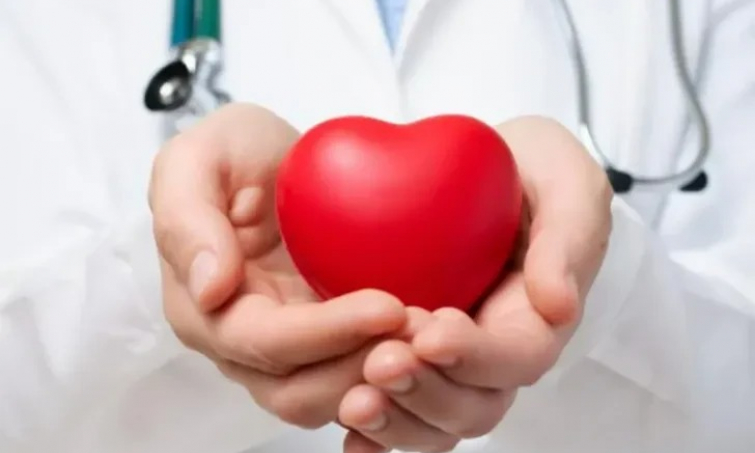 Thêm hai quả tim lợn chỉnh sửa gen vừa được cấy ghép thành công vào người đã chết não