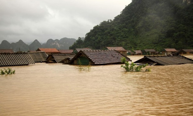 Việt Nam needs roughly $368b to develop climate-resilient, low-carbon economy: WB