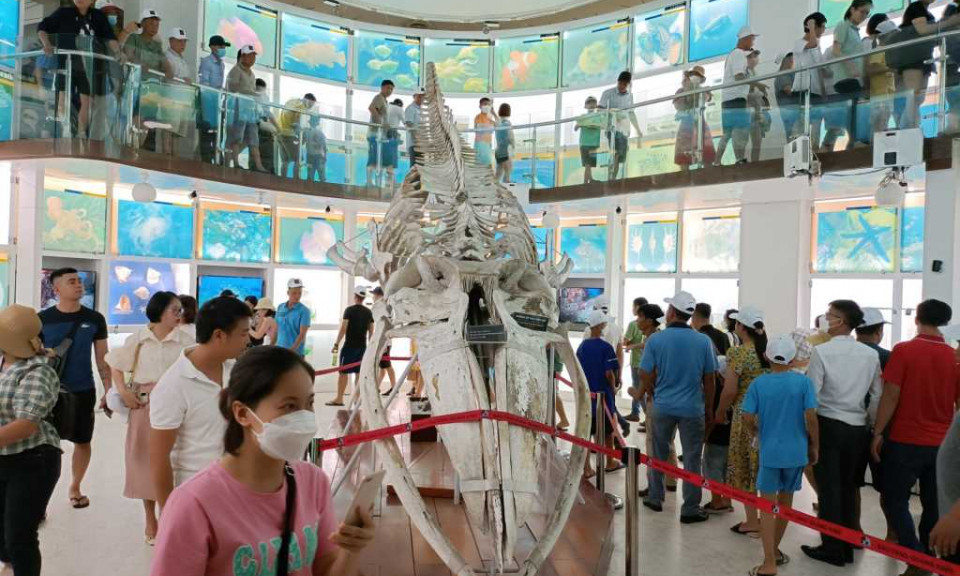 Quang Ninh lured 160,000  tourist arrivals last weekend