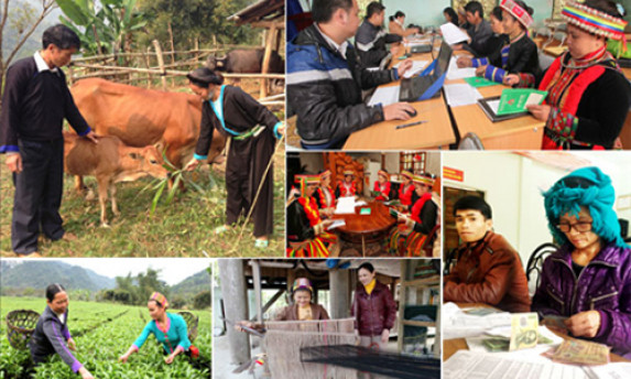 Hỗ trợ người nghèo phát triển sản xuất nông nghiệp