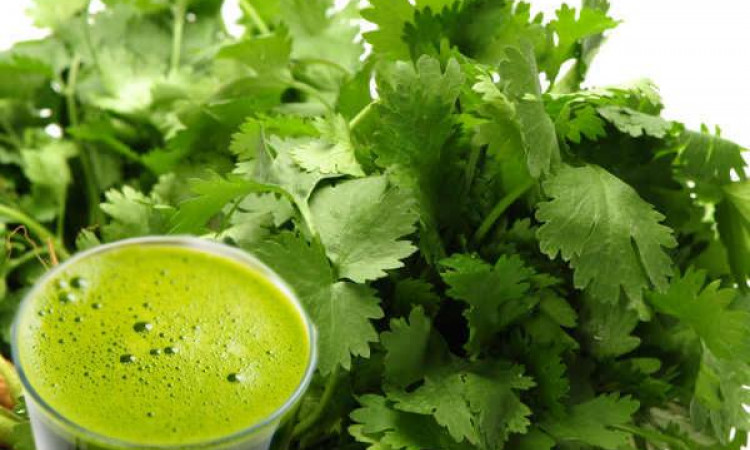 6 cách hỗ trợ điều trị sốt xuất huyết nhẹ tại nhà
