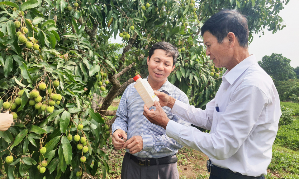 Xây dựng NTM: Nhiều tiêu chí, chỉ tiêu cần người dân làm chủ