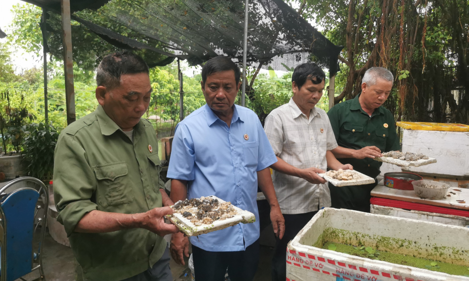CCB Chu Quang Việt -  Sáng mãi phẩm chất Bộ đội Cụ Hồ