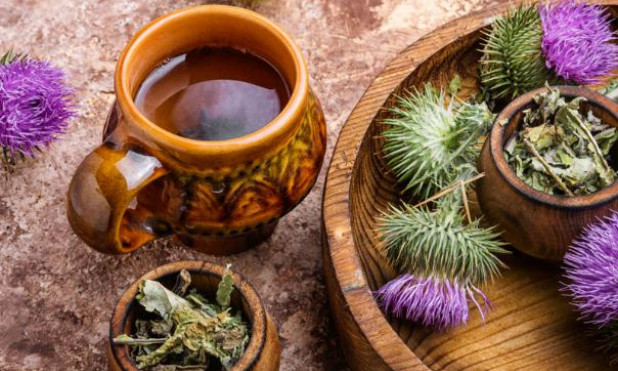 6 thảo dược hỗ trợ ngăn ngừa loãng xương
