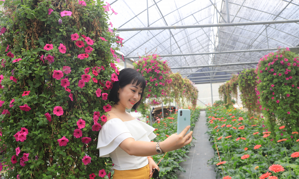 Du lịch nông nghiệp: Cách làm của Bình Liêu