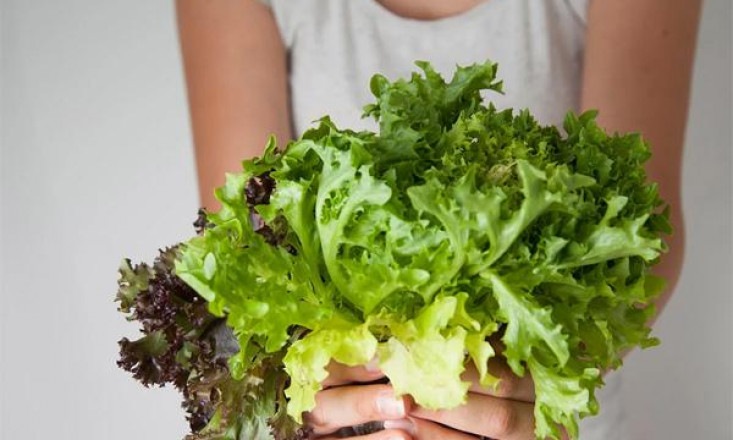 Các loại đồ uống, rau quả làm mát cơ thể ngày nóng cực điểm