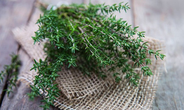 7 loại rau gia vị hỗ trợ trị cúm A