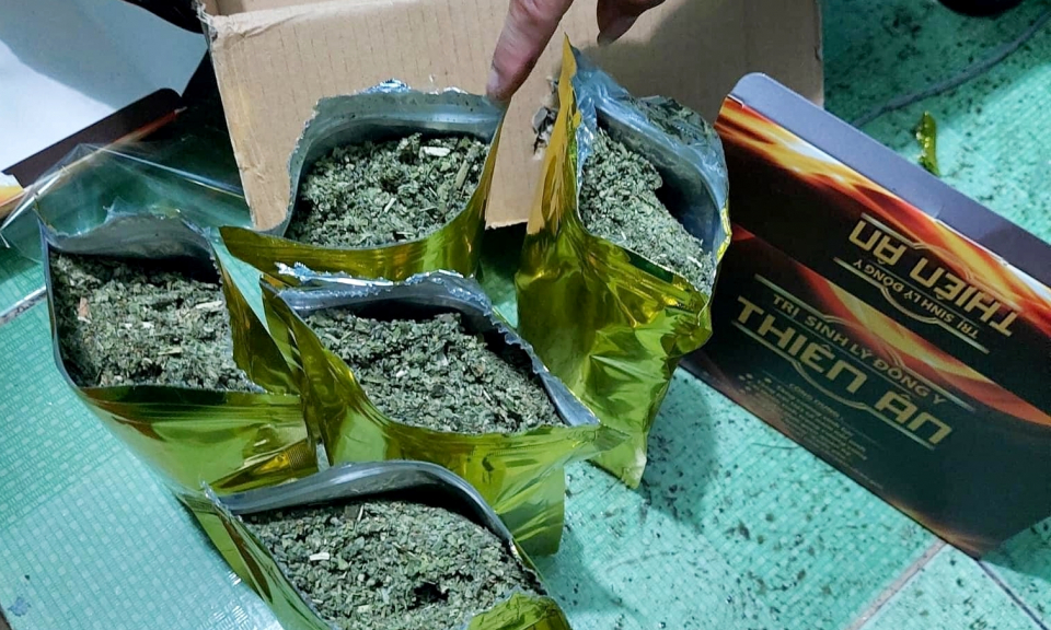 Cảnh báo sự xuất hiện của chất ma túy mới gây ảo giác