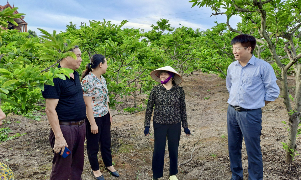 Liên kết “6 nhà” trong nông nghiệp