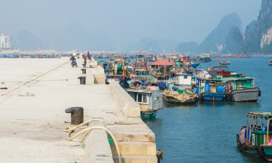 Khắc phục “thẻ vàng” IUU: Tăng cường công tác quản lý đăng ký, cấp giấy phép khai thác thủy sản