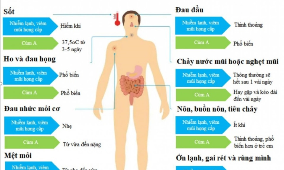 Cúm A và viêm mũi họng cấp - phân biệt thế nào?