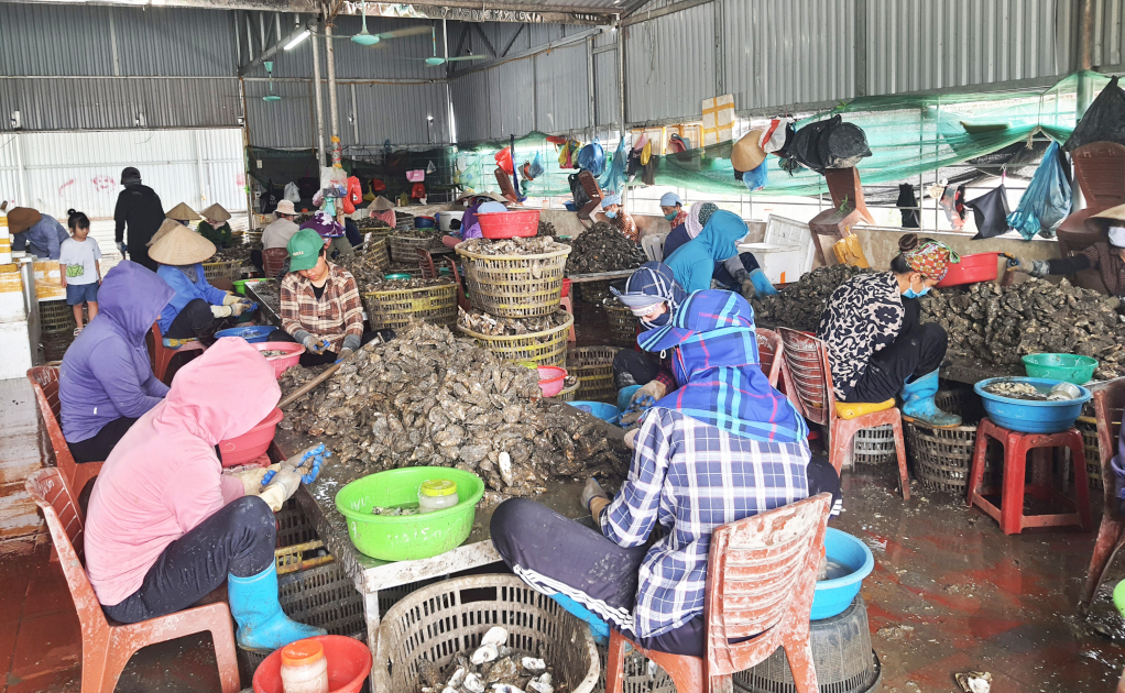 Hiện nay đối với khối lao động phổ thông ngành thủy sản ở Vân Đồn đang đạt thu nhập 7 - 10 triệu đồng/người/tháng.