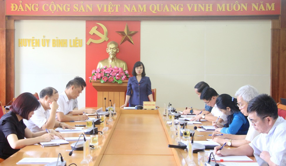 Đồng chí Trịnh Thị Minh Thanh, Phó Bí thư Tỉnh ủy, phát biểu tại buổi làm việc.