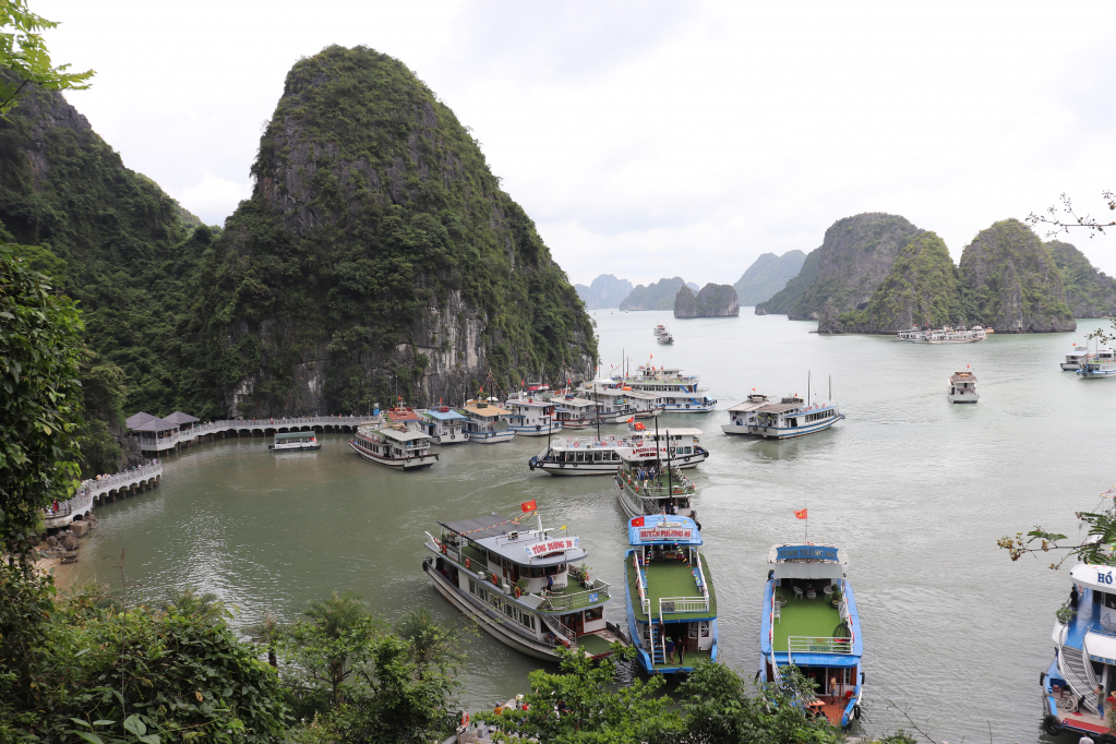 Các tàu du lịch chạy liên tục nhưng không đáp ứng đủ nhu cầu của du khách. 