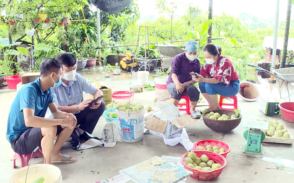 Sản phẩm na Đông Triều có tem dán thương hiệu nông sản OCOP và mã QR, mã vạch để khách hàng truy xuất nguồn gốc.