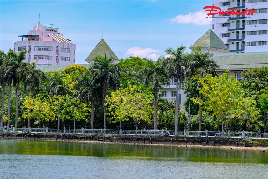 Loài hoa này cũng đại diện cho sự may mắn, cho niềm hy vọng vào một tương lai tốt đẹp hơn bởi sắc vàng rực rỡ.