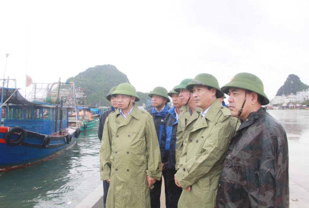 Đồng chí Nguyễn Xuân Ký, Ủy viên Trung ương Đảng, Bí thư Tỉnh ủy, Chủ tịch HĐND tỉnh kiểm tra tại khu vực Cảng Cái Rồng.
