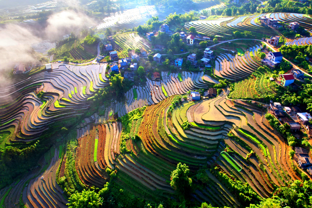 Sắc màu biên cương. Ảnh: Vũ ThànhƯơm mầm sống.Thợ cấy. Ảnh: Vũ Tiến Dũng