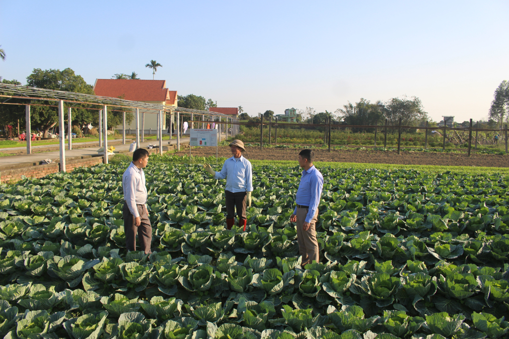 Các hộ trồng rau tại xã Quảng Minh, huyện Hải Hà đều ký cam kết sản xuất an toàn với chính quyền địa phương.