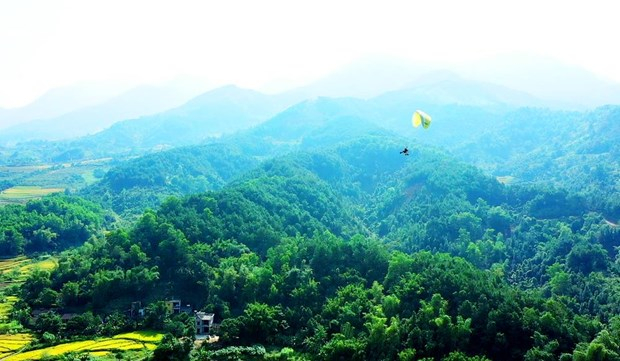 Forest economy has really become the main force for Binh Lieu locals to get out of poverty and get rich.