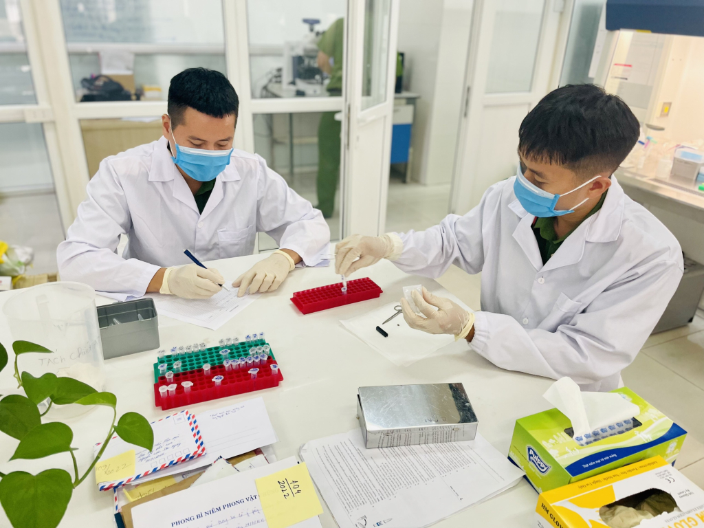 Các giám định viên đang thao tác chuyển mẫu để giám định.