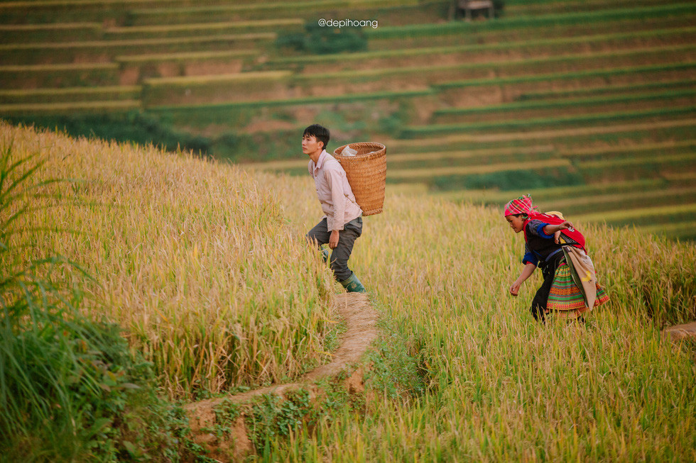 Tháng 9 lên Mù Cang Chải ngắm mùa vàng chảy tràn trên triền núi - Ảnh 12.