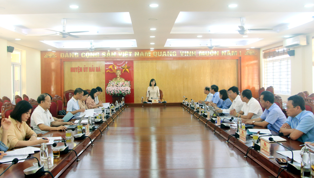 Đồng chí Trịnh Thị Minh Thanh, Phó Bí thư Tỉnh ủy, phát biểu tại buổi làm việc với Ban Thường vụ Huyện ủy Hải Hà.