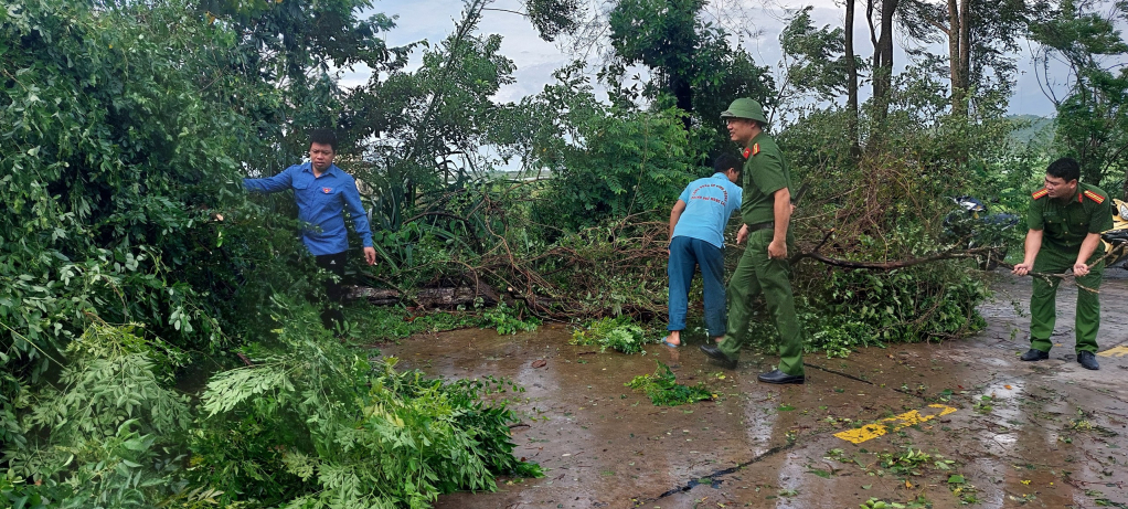 Các lực lượng công an, dân quân tự vệ, thanh niên tình nguyện khắc phục hậu quả của bão số 3 trên toàn địa bàn TP Móng Cái. Ảnh: Hữu Việt
