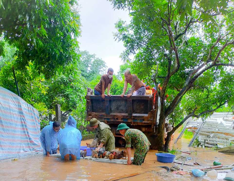 Lực lượng chức năng huyện Ba Chẽ hỗ trợ người dân di chuyển tài sản, vật nuôi do ảnh hưởng của cơn bão số 3. Ảnh: Bình Minh