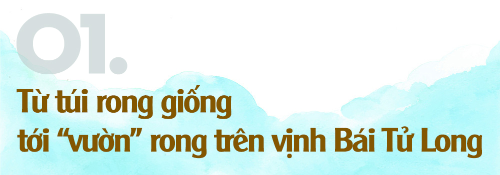 Ảnh trong văn bản