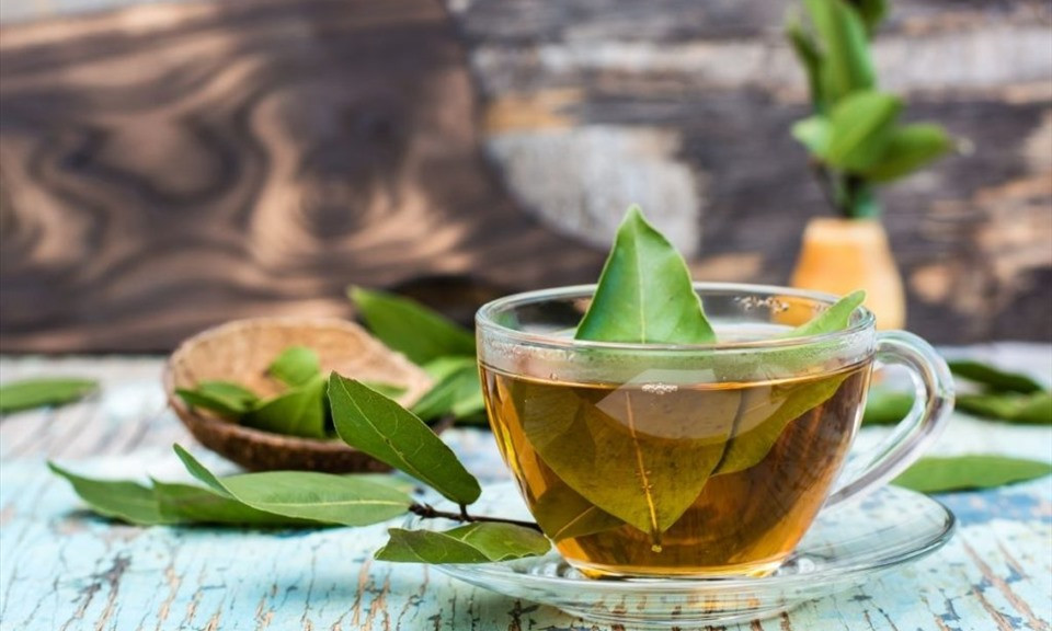 Những lợi ích tuyệt vời của lá nguyệt quế đối với sức khoẻ con người