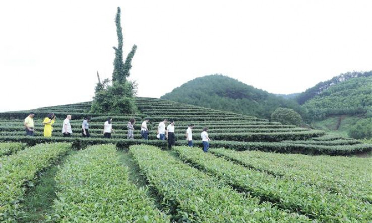 Đến năm 2025 sẽ chuẩn hoá các điểm đến và sản phẩm du lịch nông thôn